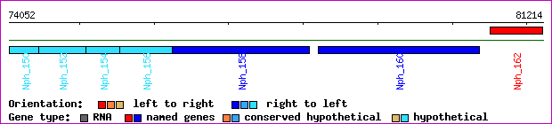 gene map
