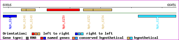 gene map