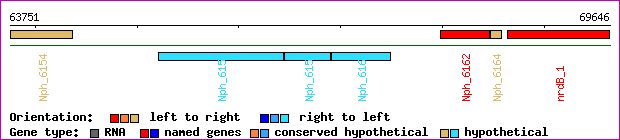 gene map