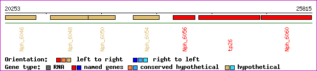 gene map
