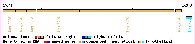 gene map