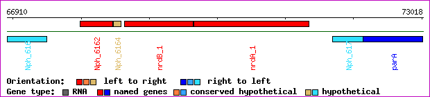 gene map