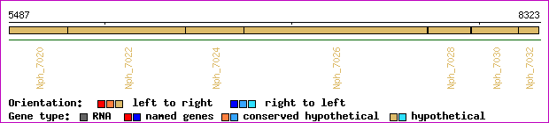 gene map