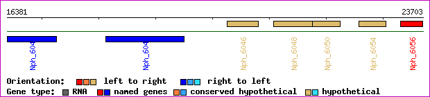 gene map