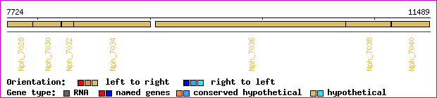 gene map