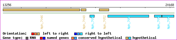 gene map