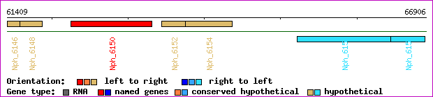 gene map