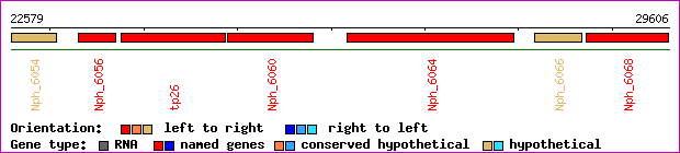 gene map