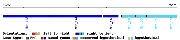 gene map