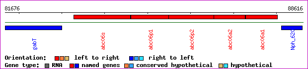 gene map