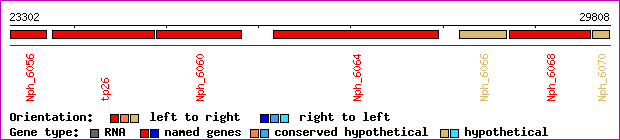 gene map