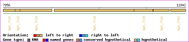 gene map
