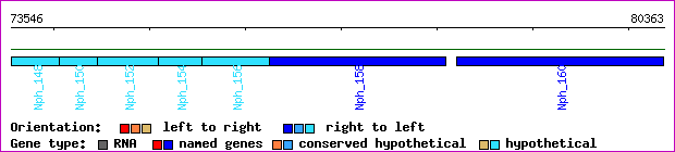 gene map