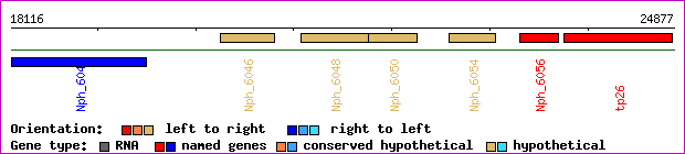 gene map