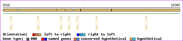 gene map