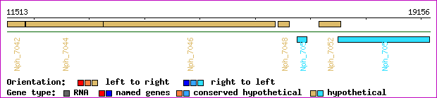 gene map