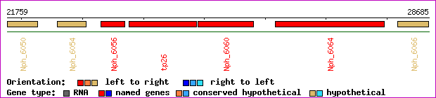 gene map