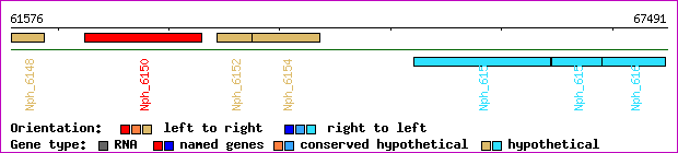 gene map