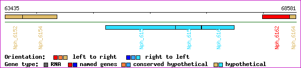 gene map