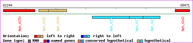 gene map