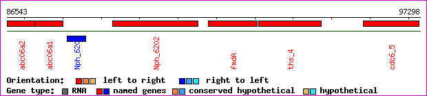 gene map