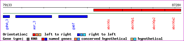 gene map