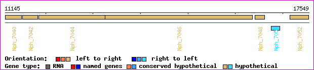 gene map
