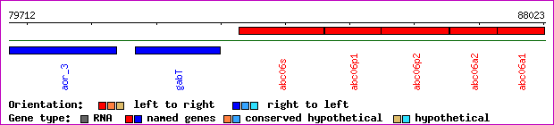 gene map