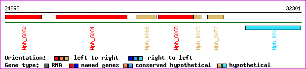gene map