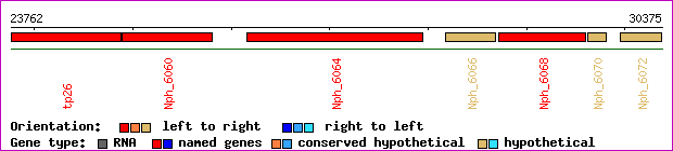 gene map