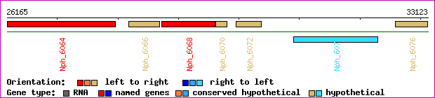 gene map