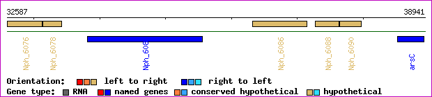 gene map