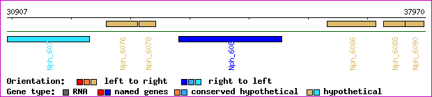 gene map