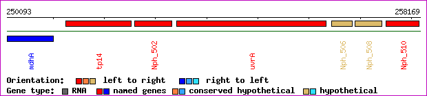 gene map
