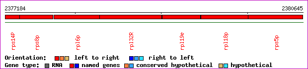 gene map