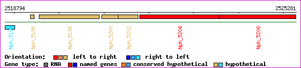 gene map