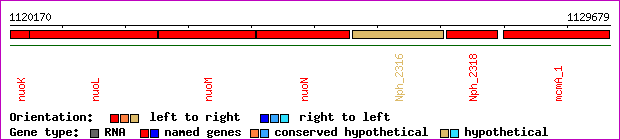 gene map