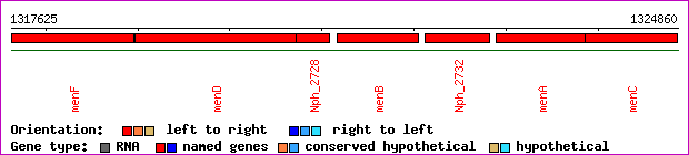gene map