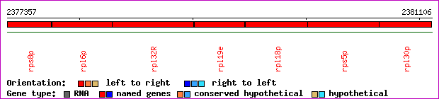gene map