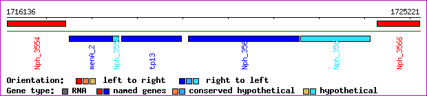 gene map