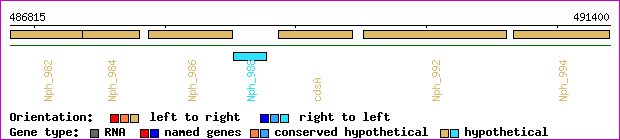 gene map