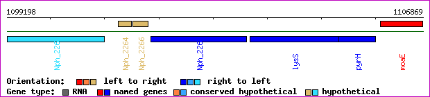 gene map