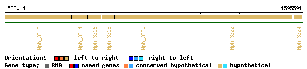 gene map
