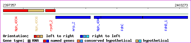 gene map