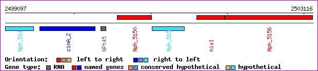 gene map