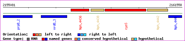gene map