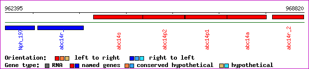 gene map