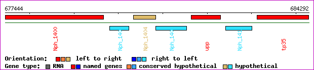 gene map