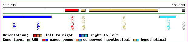 gene map