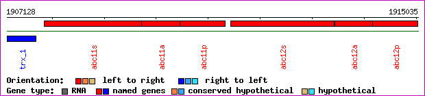 gene map